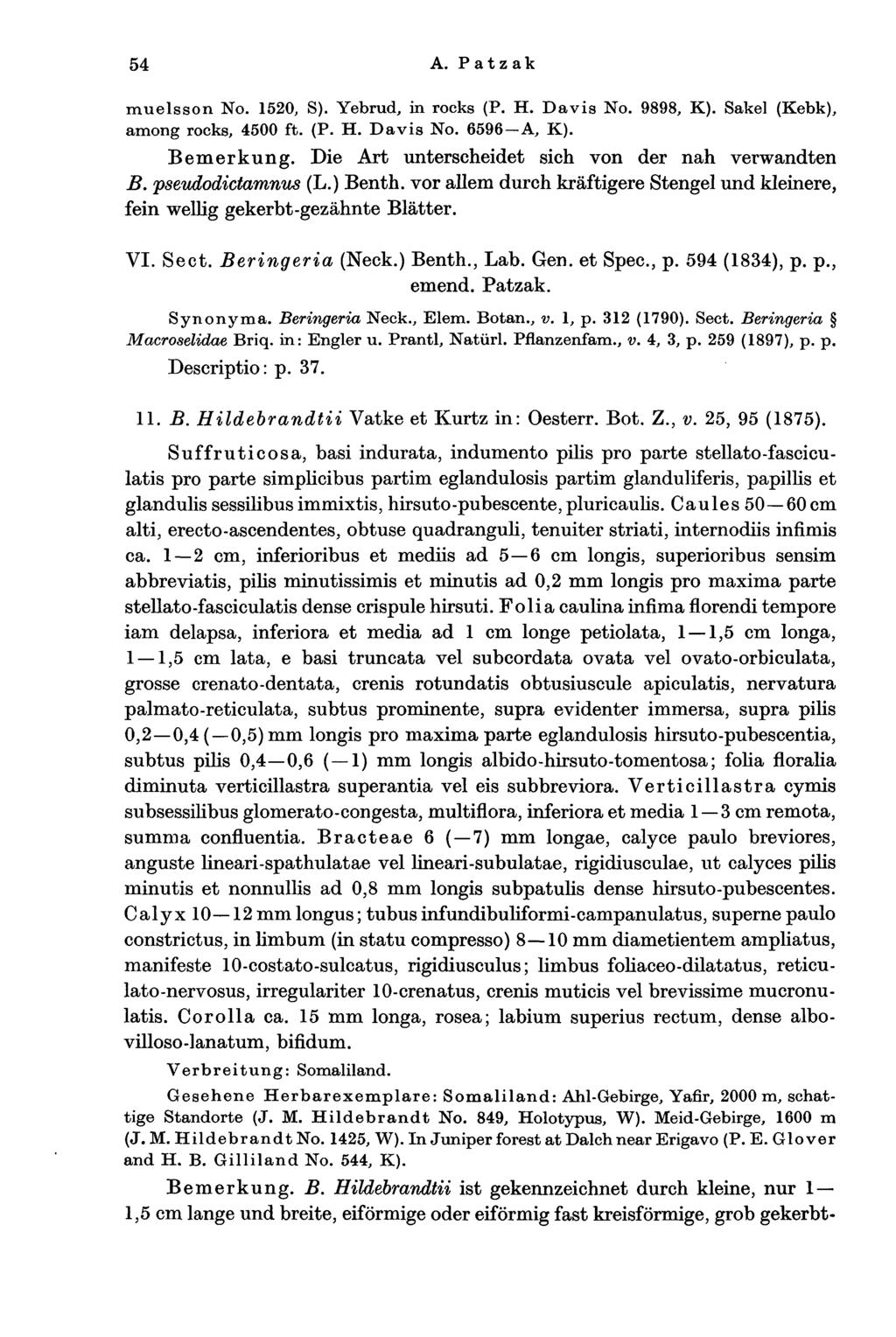 54 A. Patzak muelsson No. 1520, S). Yebrud, in rocks (P. H. Davis No. 9898, K). Sakel (Kebk), among rocks, 4500 ft. (P. H. Davis No. 6596-A, K). Bemerkung.
