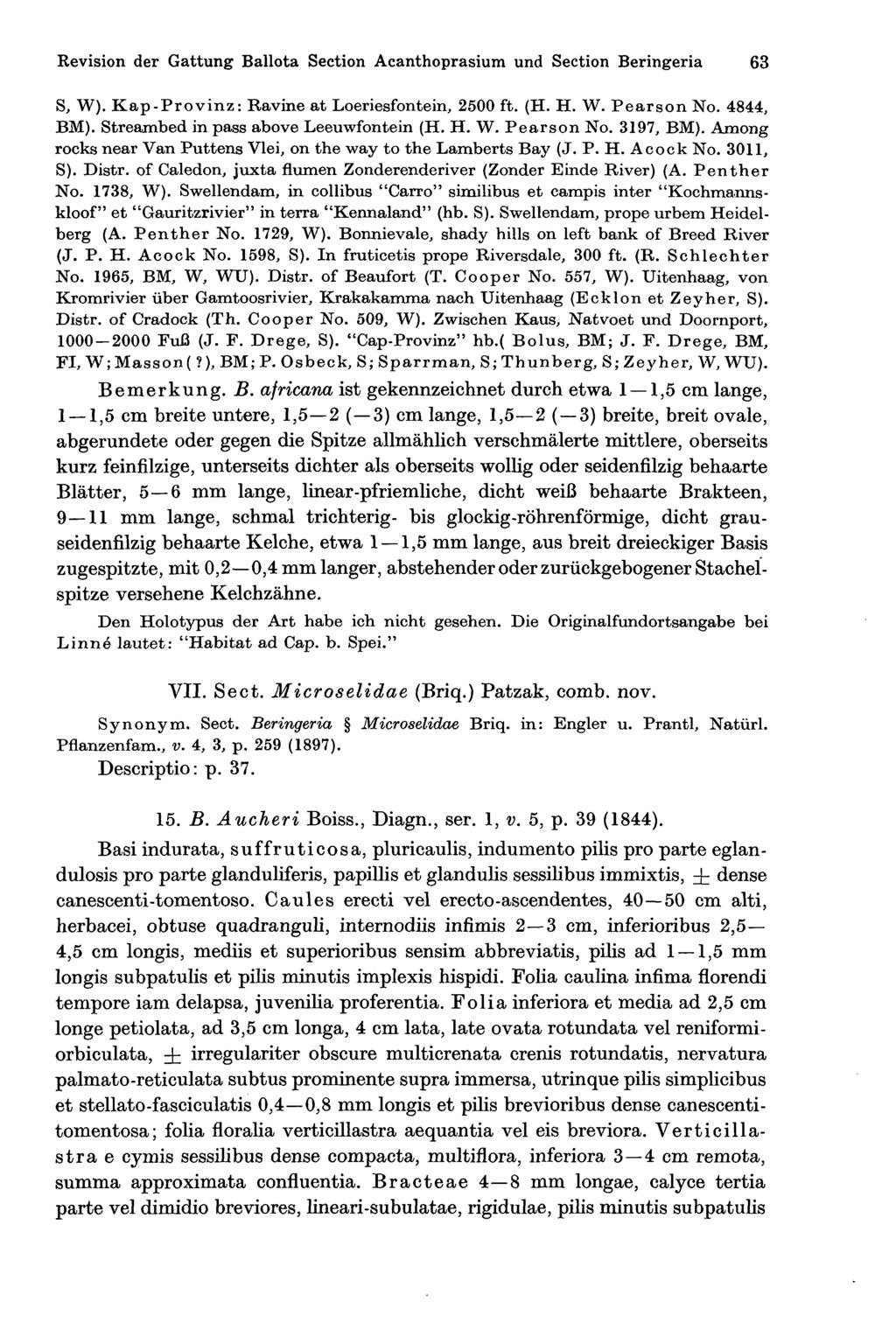 Revision der Gattung Ballota Section Acanthoprasium und Section Beringeria 63 S, W). Kap-Provinz: Ravine at Loeriesfontein, 2500 ft. (H. H. W. Pearson No. 4844, BM).