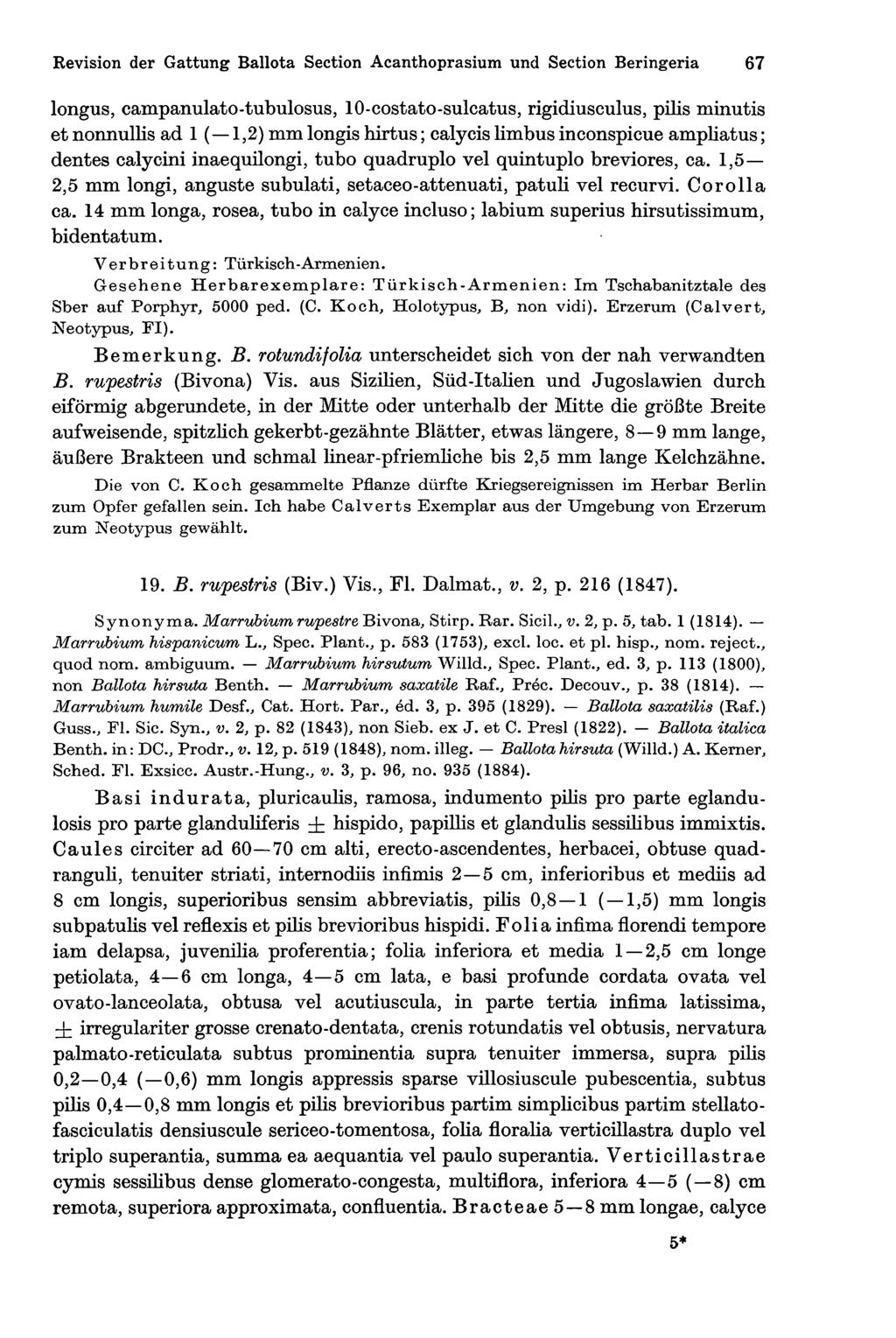 Revision der Gattung Ballota Section Acanthoprasium und Section Beringeria 67 longus, campanulato-tubulosus, 10-costato-sulcatus, rigidiusculus, pilis minutis et nonnullis ad 1 ( 1,2) mm longis