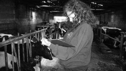 Konditionsbewertung Ziele der Konditionsbewertung: Grundlage für ein leistungs- und laktationsbezogenes Fütterungskonzept für Jungrinder und Milchkühe Optimierung des physiologischen