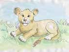 Auf der Internetseite www.cbm.de/kirchenangebote finden Sie weitere Materialien für die Gemeindearbeit. Das ist die Geschichte des kleinen Löwen Dogodogo. Das bedeutet sehr klein.