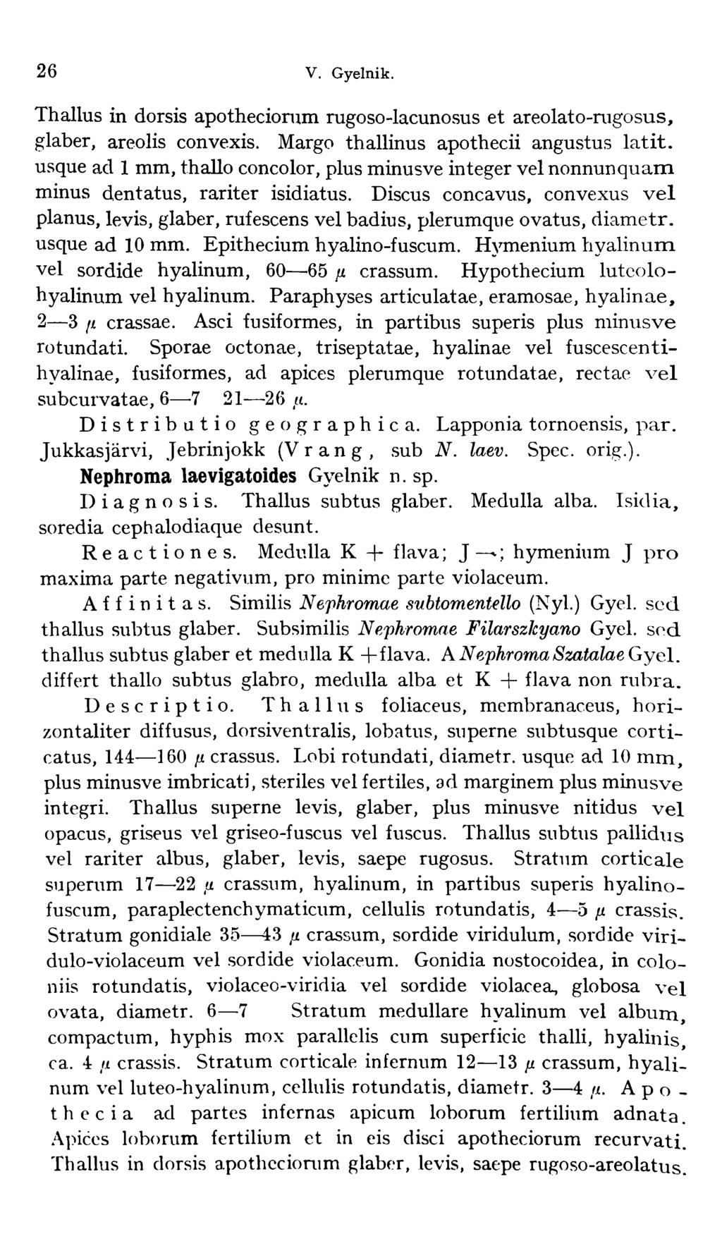 26 V. Gyelnik. Thallus in dorsis apotheciorum rugoso-lacunosus et areolato-rugosus, glaber, areolis convexis. Margo thallinus apothecii angustus latit.