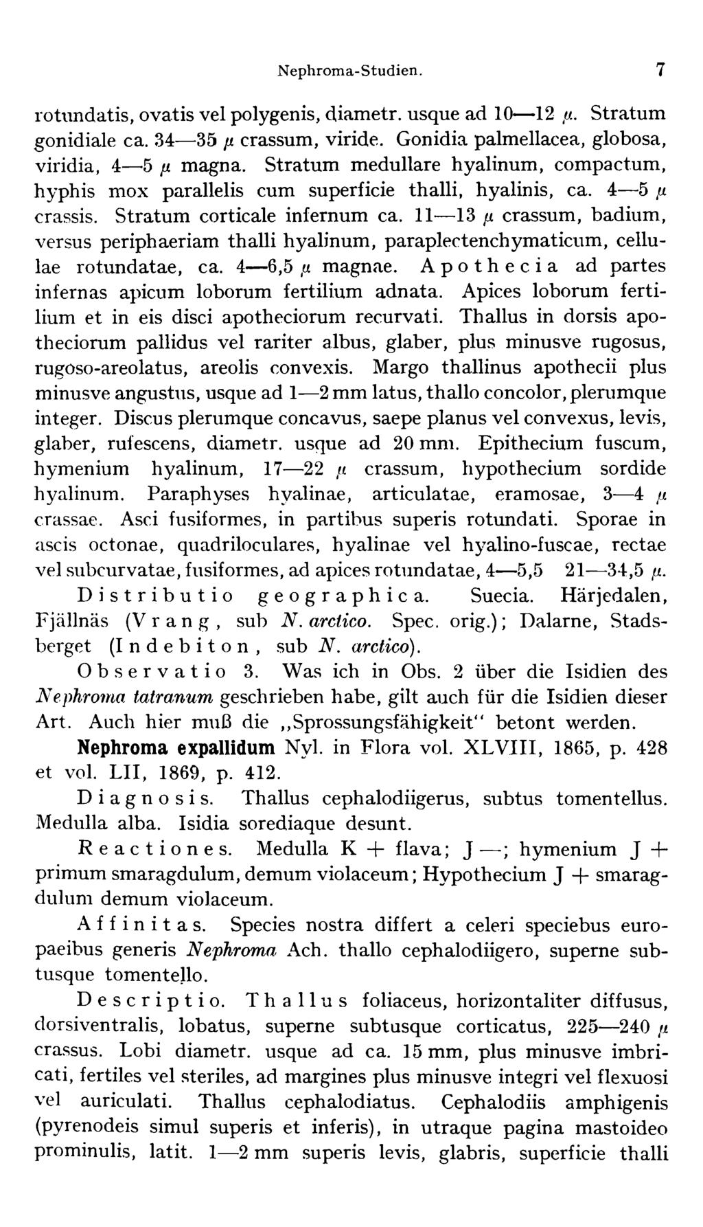 N ephrom a-studien. 7 rotundatis, ovatis vel polygenis, diametr. usque ad 10 12 fx. Stratum gonidiale ca. 34 35 x crassum, viride. Gonidia palmellacea, globosa, viridia, 4 '5 x magna.
