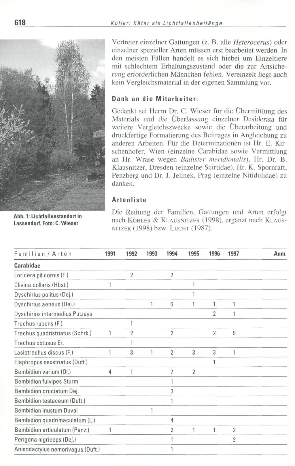 Kofier: Käfer ais Lichtfallenbeifänge Vertreter einzelner Gattungen (z. B. alle Heterocerus) oder einzelner spezieller Arten müssen erst bearbeitet werden.