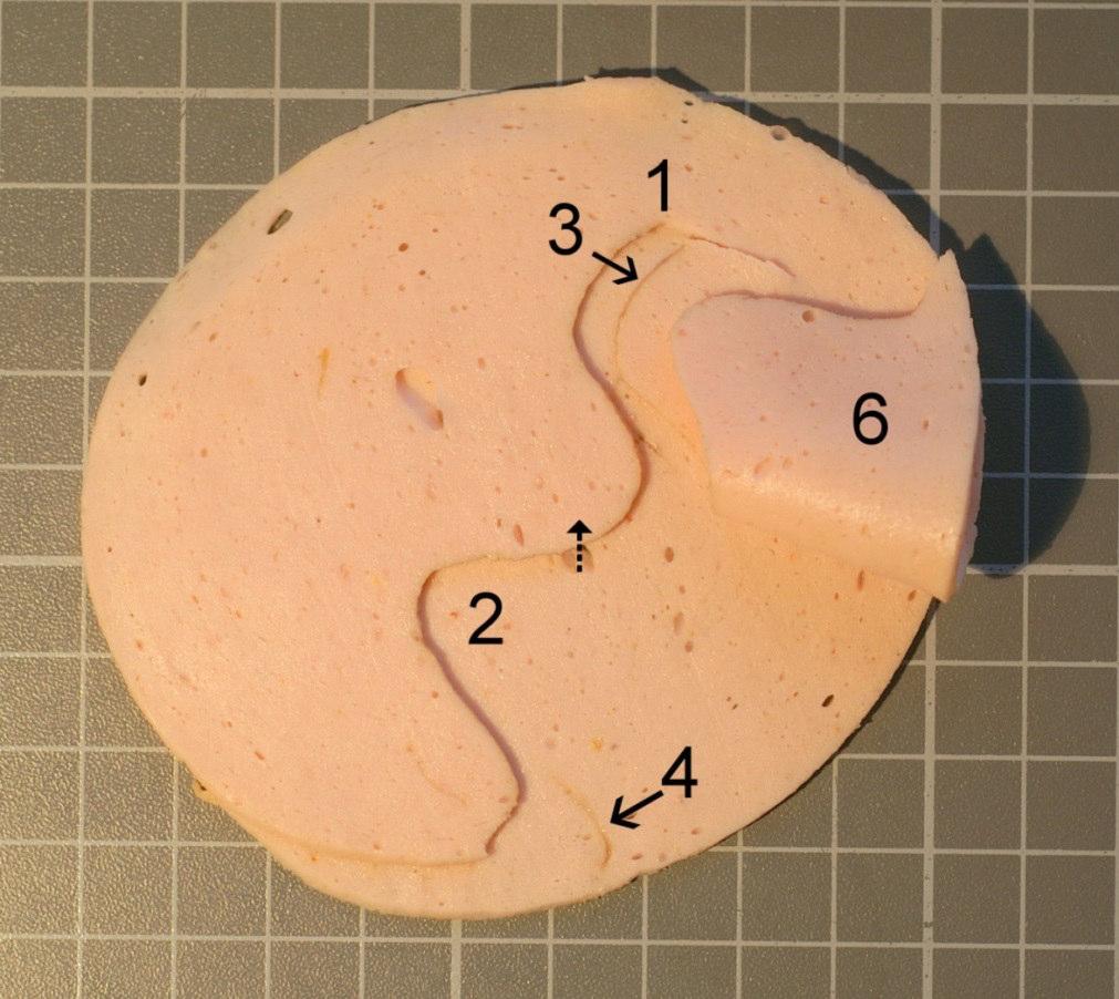 Abb. 4: Die obere 1,5 mm dicke Wurstscheibe wurde mit einer 1,5 mm Nadelelektrode komplett durchschnitten wobei die darunter