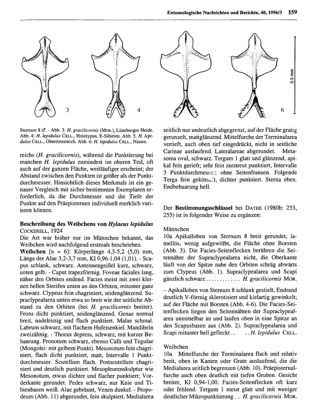 Nachrichten und Berichte, 40,1996/3 159 Stem um 8 Cf. - Abb. 3: H. gracilicornis (M o r.), Lüneburger Heide. Abb. 4: H. lepidulus C k l l., Holotypus, E-Sibirien. Abb. 5. H. lepidulus C k ll.