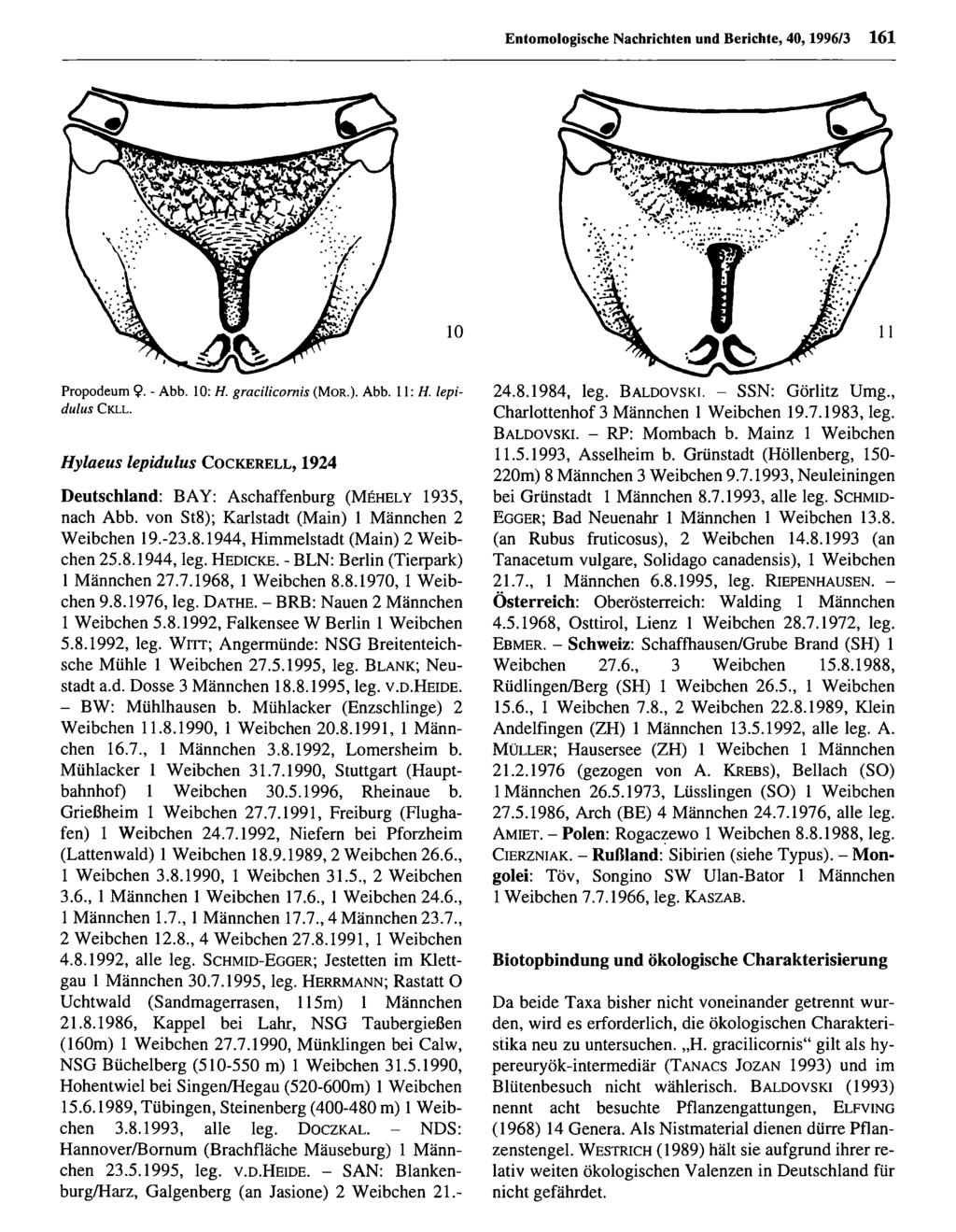 Nachrichten und Berichte, 40,1996/3 161 Propodeum 9- - Abb. 10: H. gracilicornis (M o r.). Abb. Il: H. lepidulus C k l l.