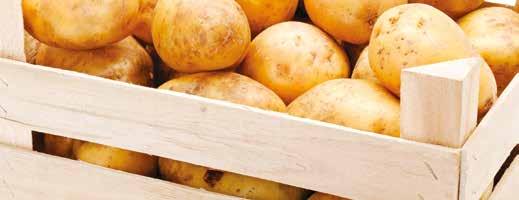Kulturen Industriekartoffel (ausgenommen Pflanzgut) Keimhemmungsmittel (Sprühpräparat) zur Behandlung von Kartoffeln bei der Einlagerung. Verhindert das Lagerkartoffeln vorzeitig auskeimen.