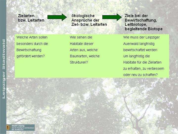 Im Ergebnis dieser Überlegungen entstand der erste Entwurf des Konzepts zur forstlichen Pflege des Leipziger Auenwaldes.