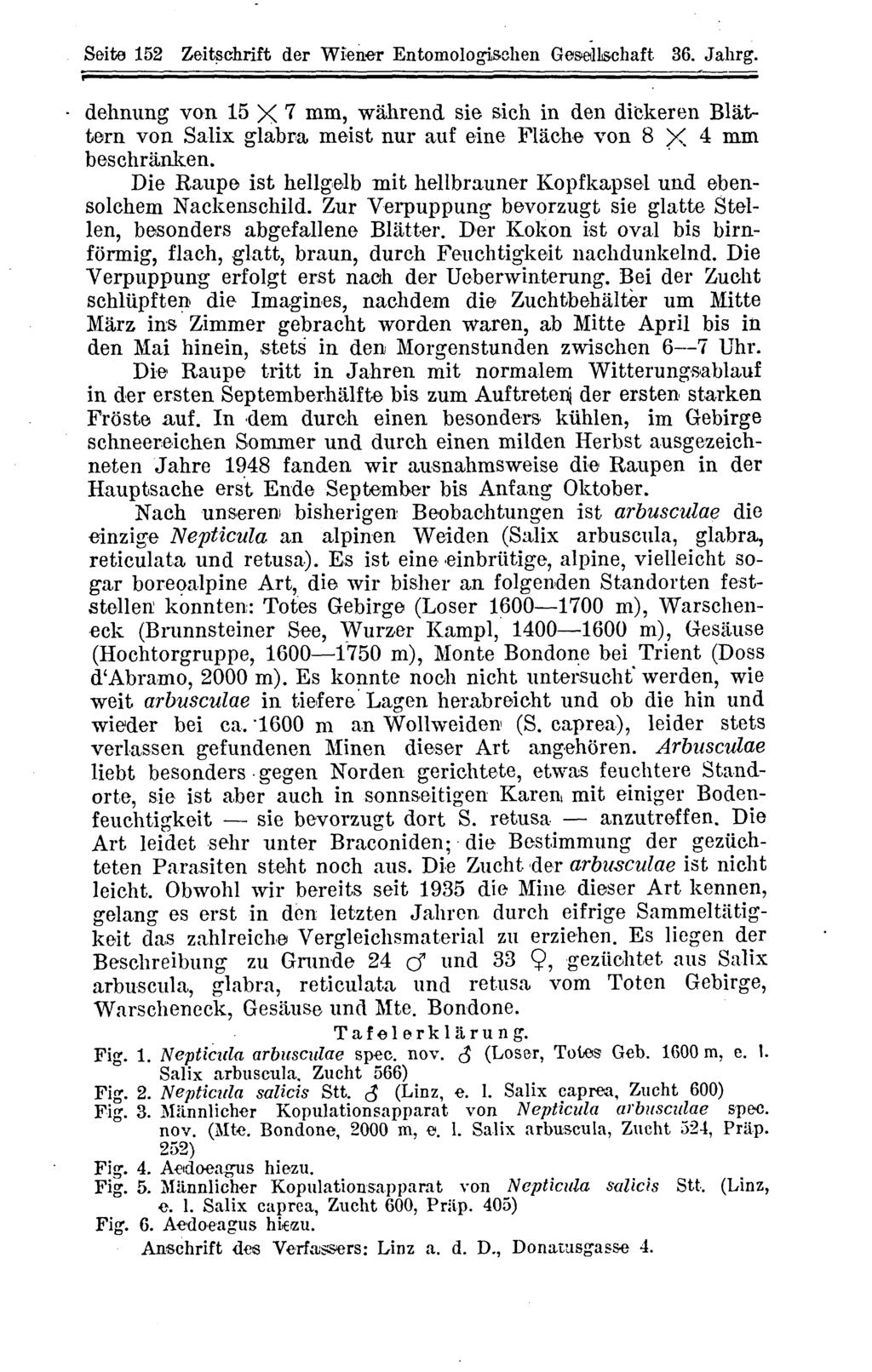 Arbeitsgemeinschaft Österreichischer Entomologen, Wien, download unter www.biologiezentrum.at Seite 152 Zeitschrift der Wiener Entomologisehen Gesellschaft 36. Jahrg.