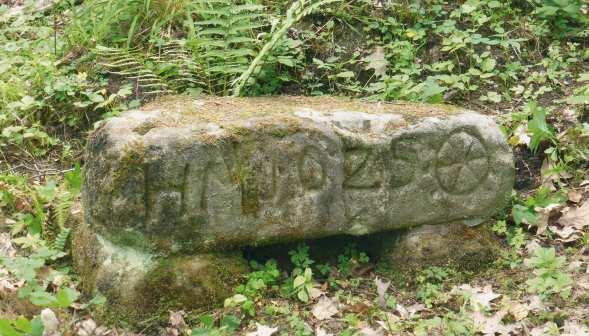 13 Mühlwegstein Dieser Sandsteinblock trägt den Namen der hiesigen Waldabteilung»Mühlweg«.