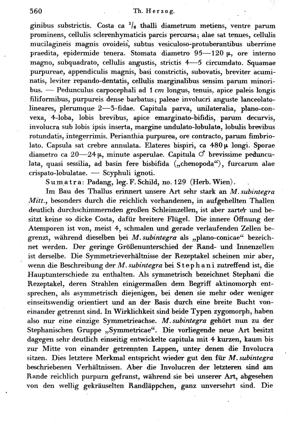 560. Th. Herzog. ginibus substrictis.
