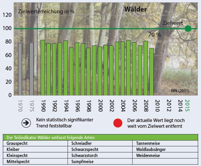 Teilindikator Wälder Grauspecht Kleiber Kleinspecht Mittelspecht Schreiadler