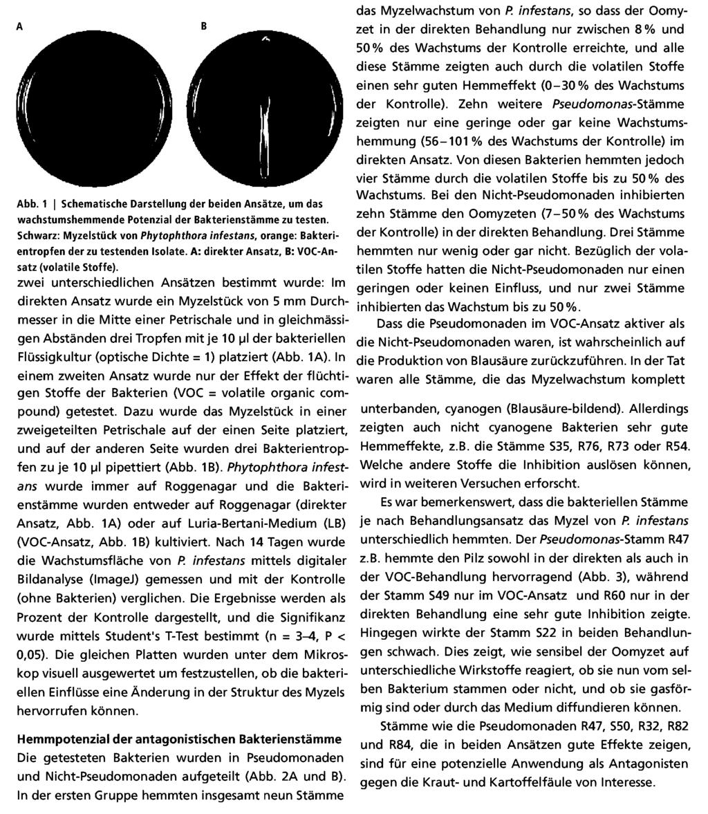 A 8 Abb. 1 1 Schematische Darstellung der beiden Ansätze, um das wachstumshemmende Potenzial der Bakterienstämme zu testen.