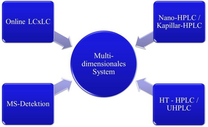 Abbildung 2: Schematische Darstellung des multidimensionalen Systems.