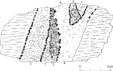 Am Beispiel des Kernes der Bohrung F3/72 von 405-406 m konnte nachgewiesen werden, dass die sonst mit Baryt vergesellschafteten Sulfide auch selbständige Trümer ohne Baryt bilden können. 2.