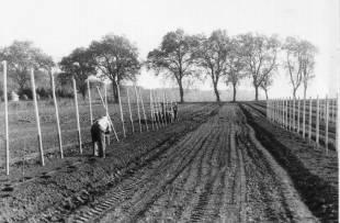 Historie 1700-2010 1691: Verordnung der markgräflichen Regierung: Anbau von Obstbäumen