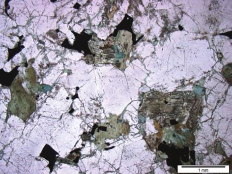 Polarisatoren) In der mikroskopisch untersuchten Probe lassen sich zwei Gesteinsvarianten unterscheiden.