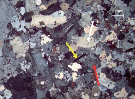 Jahren angegeben. 11 Nach dem modalen Mineralbestand und der Gesteinsstruktur ist der Granodiorit-Splitt I weitge- 11 WALTER, R. u. a.: Geologie von Mitteleuropa. Verl.