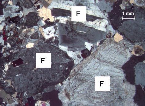 Diese Gefügevariante entspricht einem klassischen Granitgefüge (Granodiorit gehört zur Gruppe der granitoiden Gesteine, im Unterschied zum Granit überwiegt bei den Feldspäten jedoch der Plagioklas).