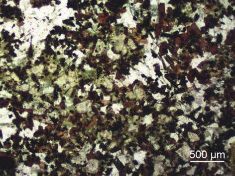 41 Modaler Mineralbestand und Mikrogefüge In der Mehrzahl der Fälle ist der Zweiglimmer- Granodiorit gleichkörnig ausgebildet (Bild 61).
