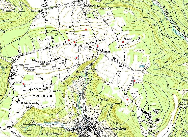 3.1 Lange Meile Auf der Langen Meile (Abb.6) wurden auf neun geeigneten Äckern Vegetationsaufnahmen erstellt. Auf allen Flächen ist Adonis aestivalis kartiert worden.