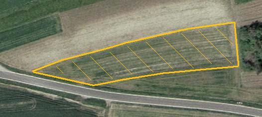8. Anhang Lange Meile 1 (LM1) Abb. A1: Kartierte Feldfläche gelb gekennzeichnet (Maßstab 1:1.