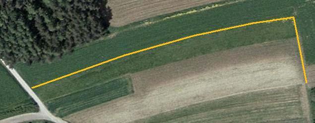 Lange Meile 2 (LM2) Abb. A2: Kartierter Feldrandbereich gelb gekennzeichnet (Maßstab 1:1.