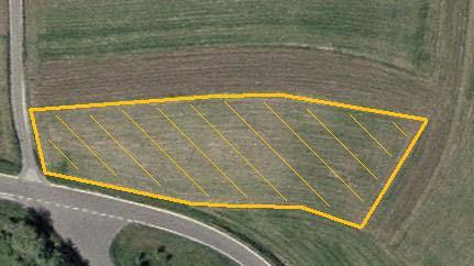 Lange Meile 3 (LM3) Abb.A3: Kartierter Feldrandbereich gelb gekennzeichnet (Maßstab 1:1.