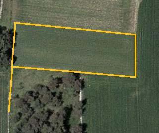 Lange Meile 9 (LM9) Abb. A9: Kartierter Feldrandbereich gelb gekennzeichnet (Maßstab 1:1.