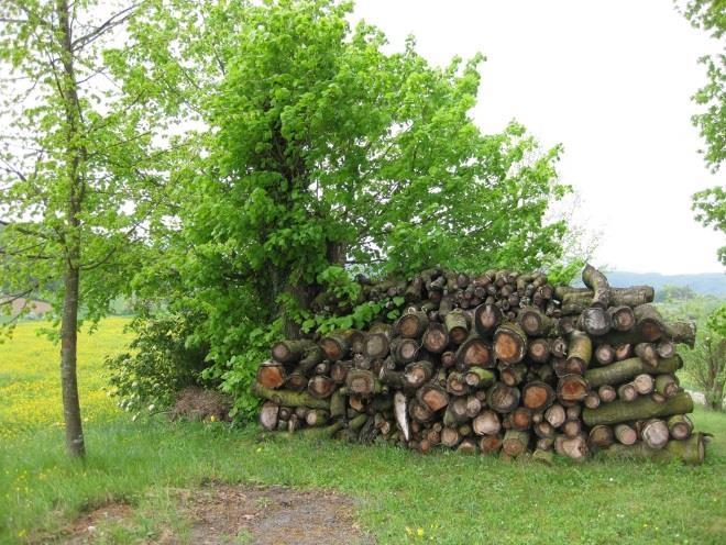 9 Holzstapel in welchen sich ein Hermelin am 25. April 2018 zurückzog.