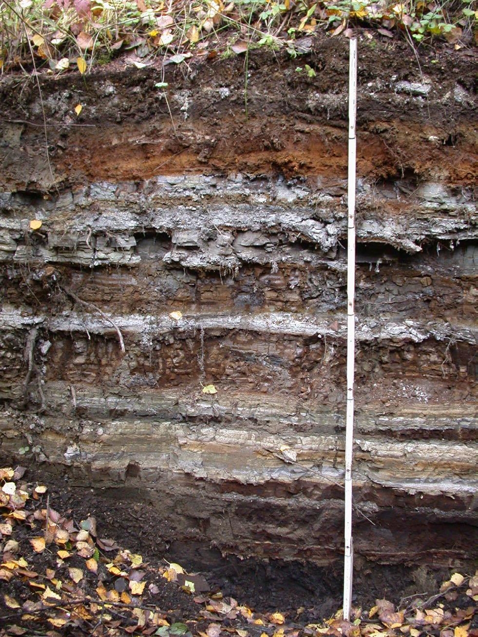 Stabile Isotope (C, N) zur Herkunftsbestimmung von Cyaniden in belasteten Böden