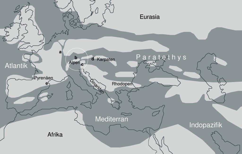 131 Abbildung 1: Die Paläogeographie der westlichen Paratethys während dem frühen Oligozän (Nannoplanktonzone NP 22 24). Erklärungen: (a) Rhein- Rhône Graben. (b) Unterinntal mit Voralpensenke.