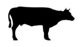 MRSA Prävalenzen (Npos=227) Mastputen Staub, N=192 Frisches Fleisch, N=401 Sammelmilch, Rind 2010/2012/2013 2014