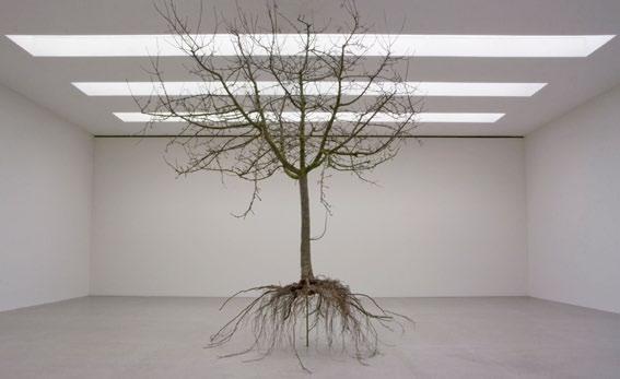 Performance «Deconstructing Tree» Zur Finissage erfuhr die Skulptur eine Transformation: zu einem Oratorium von Mario Marchisella schnitten vier Baumpfleger den Baum in 100 Stücke, nummerierten die