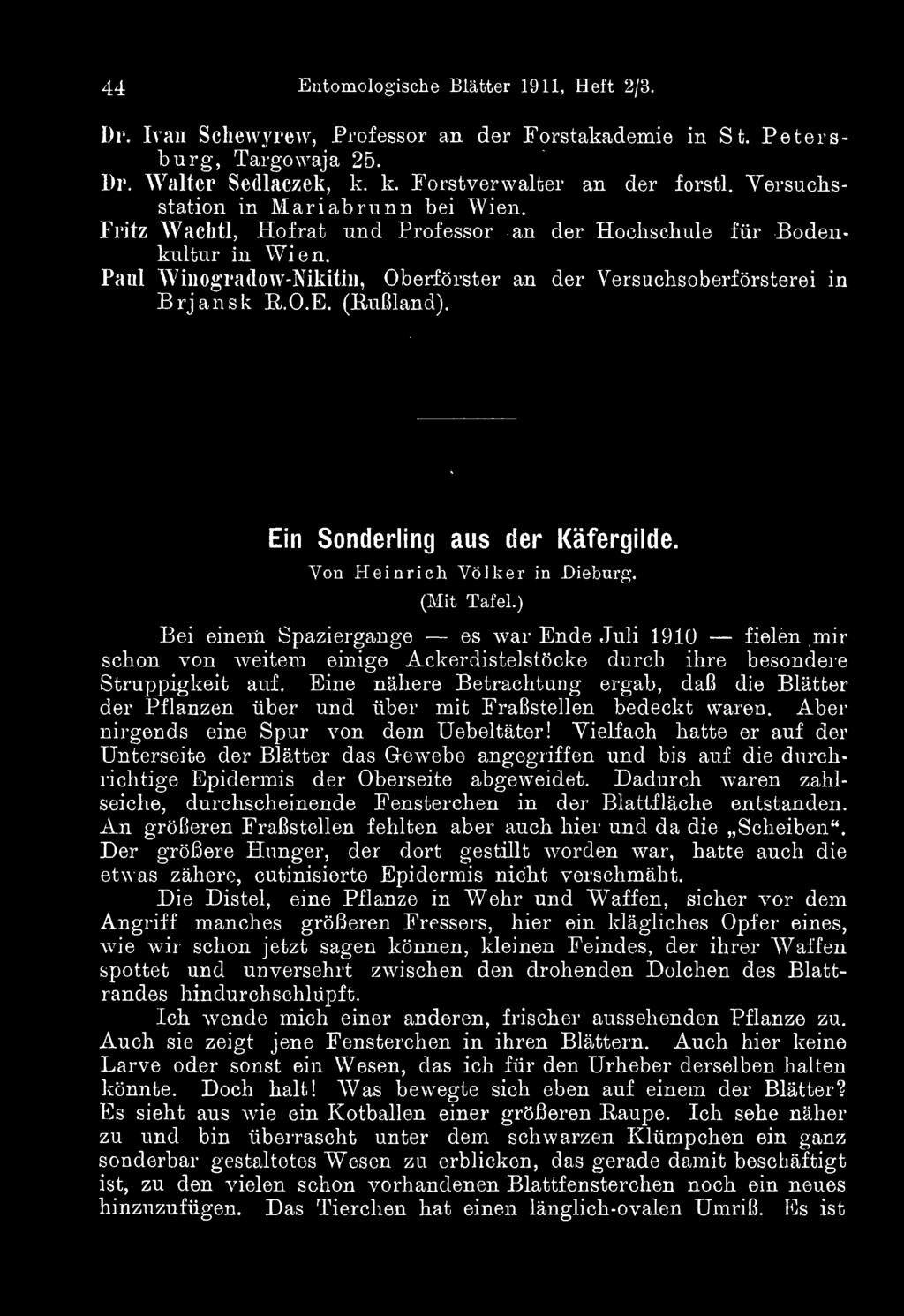 O.E. (Rußland). Ein Sonderling aus der Käfergilde. Von Heinrich Völker in Dieburg. (Mit Tafel.