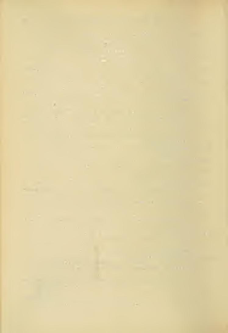 32 Entomologische Blätter 1911, Heft 2/3. C. Verzeichnis der Spezialisten. (In alphabetischer Reihenfolge.) Abkürzungen: Spez. Spezialgebiet. Det. = Determinationen. Ahlwarth. K.