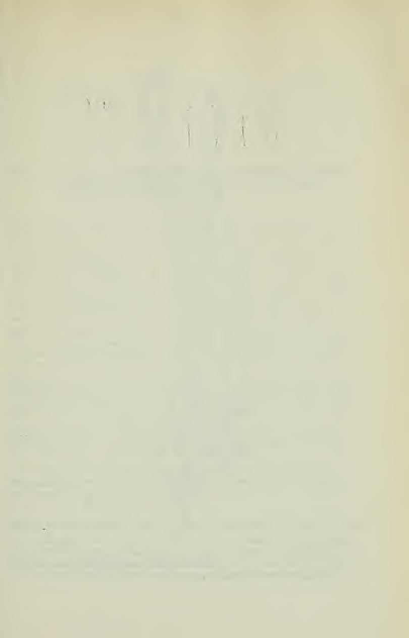 - 571 - Abb. 18: Astragalus khwaja-muhammadensis Podlech. a) Kelch, b) Fahne, c) Flügel, d) Schiffchen, e) junge Frucht (PODLECH 11858). Nat.
