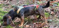 Mitentwickelt und getestet von Spezialisten der Schweisshundestation Südschwarzwald und handgefertigt in Deutschland, trägt es zur Top-Performance des Hundes bei