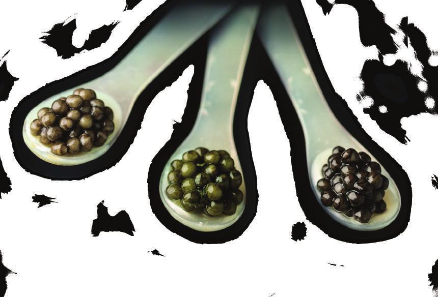 PRAKTISCHE TIPS Die Lagertemperatur des Kaviars ist entscheidend für die Haltbarkeit und Qualität.