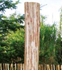 Imprägniertes Holz darf bei Erdkontakt auf keinen Fall gesägt, gehobelt oder gebohrt werden. An so bearbeiteten Stellen wäre das Holz nicht ausreichend geschützt.