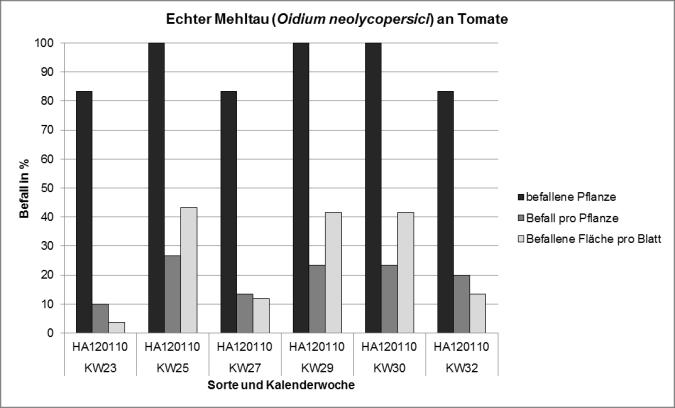 Befall in % Abbildung 4+5: Befall von Echtem Mehltau an Tomaten - 2 Sorten im Vergleich, Sommer 2018 100 90 80 70 60 50 40 30 20 10 0 KW23 KW25 KW27 KW29 KW30 KW32 Sorten