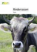 Unter den 30 präsentierten Rassen finden sich Deutsche Holsteins und Charolais-Rinder genauso wie das zwischenzeitlich vom Aussterben bedrohte Rote Höhenrind und die seltenen Limpurger.