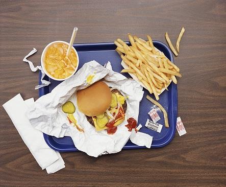 Fast Food Einfluss der Ernährung 6 Fast Food und Snack Food Verzehr ist mit Adipositas und Zunahme der abdominalen Fettmasse bei Kindern