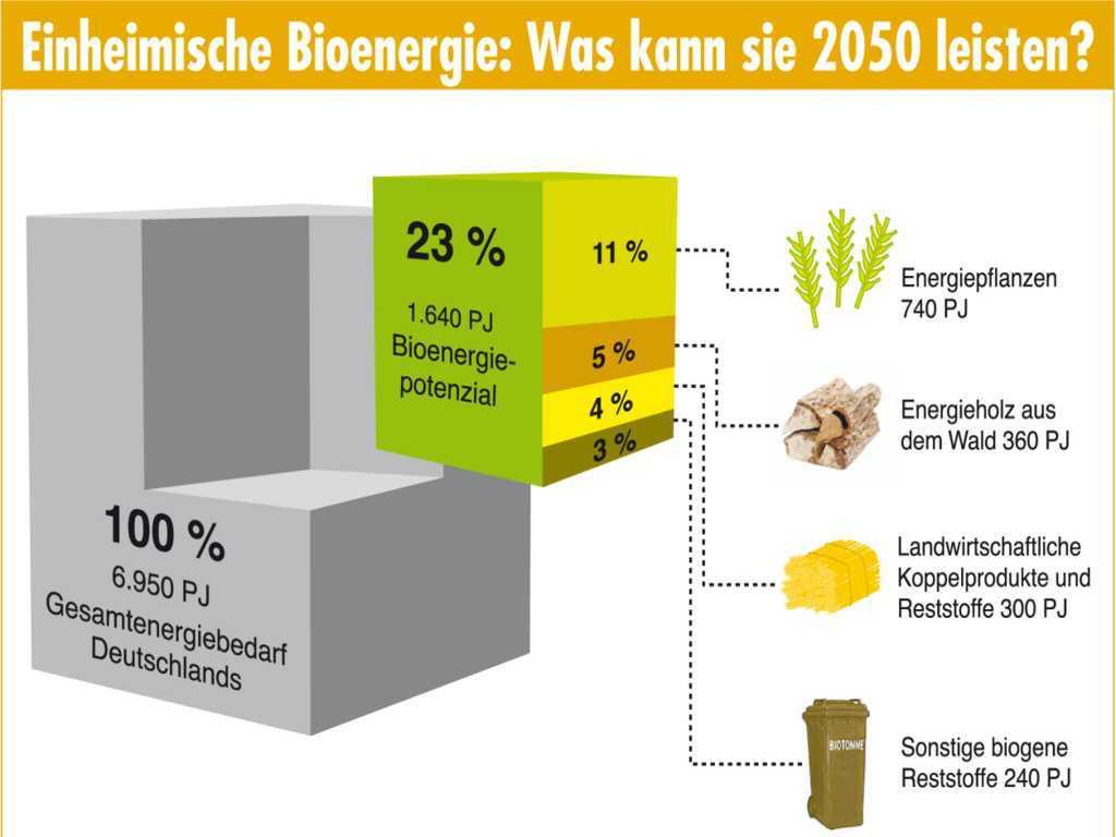 2012) Anbau und Nutzung der Bioenergie unter Harmonisierung der Erfordernisse von Natur- u. Landschaftsschutz, Wasser-, Luft- u.