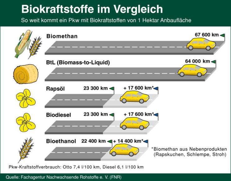 2012) In Deutschland hin zu Biomethan statt zu Diesel und Ethanol! Rübe und Durchwachsene Silphie am produktivsten (nicht Mais!