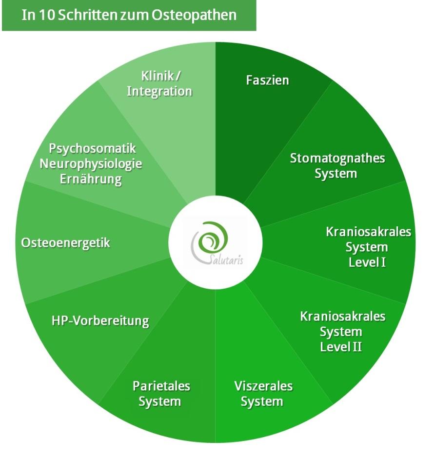 Das Modulsystem: Faszien