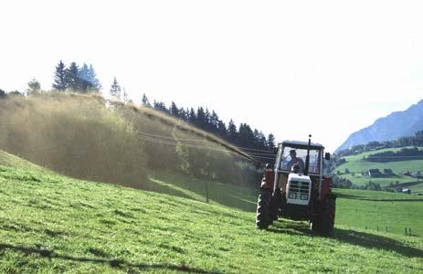 Weidemanagement Düngung Hoher Kotanfall auf der Weide auf gleichmäßige Verteilung achten (Wasserstellen!