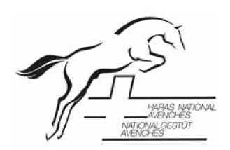 2. Tag der Pferdezucht 31. März 2007 Nationalgestüt Avenches Der SSPV hat sich in bester Form präsentiert Am 31.