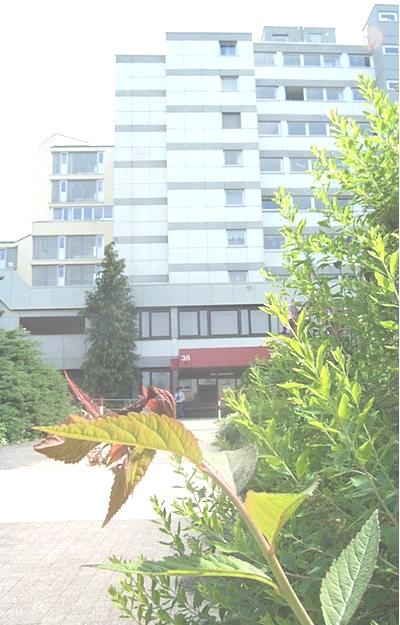 VORSTELLUNG DER EINRICHTUNG Eine von vier Pflegeheim Einrichtungen des Caritasverbandes für Stuttgart e. V. erbaut 1977 121 stationäre Plätze (incl.